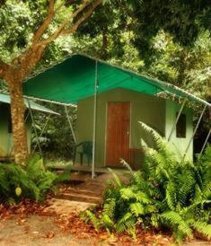 Jungle Lodge Cape Tribulation Zimmer foto